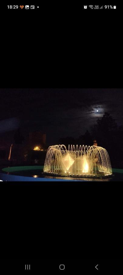 Casa Cojocaru Bed & Breakfast Turnu Magurele Bagian luar foto